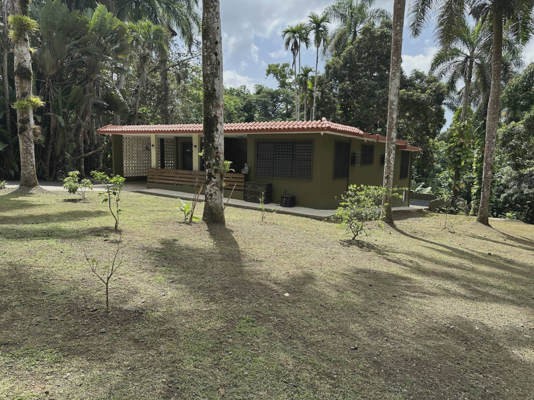 Casa Yuké estate home surrounded by royal palms