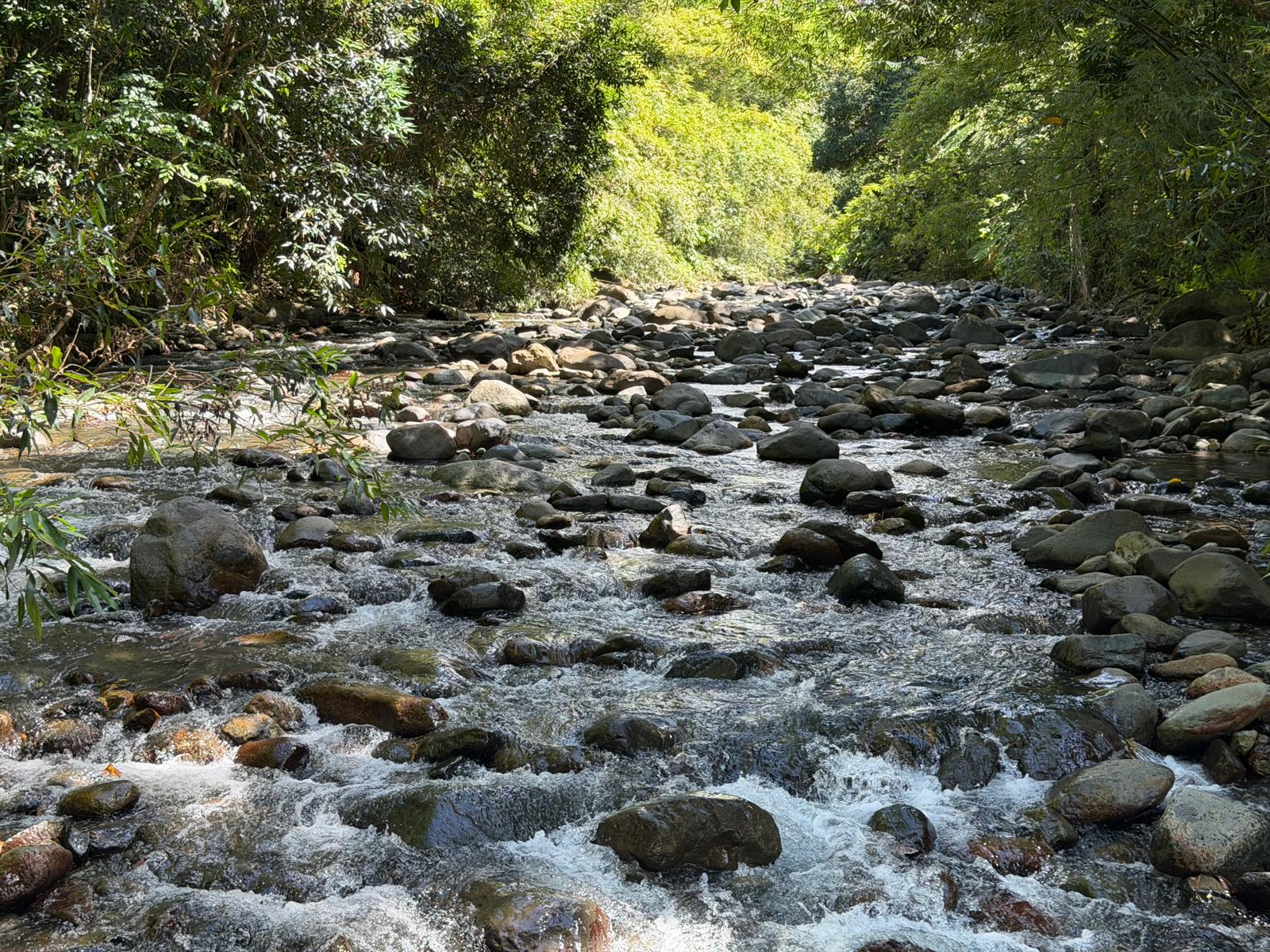 The Mameyes River running over stone beside the camping grounds at Hacienda Yuké