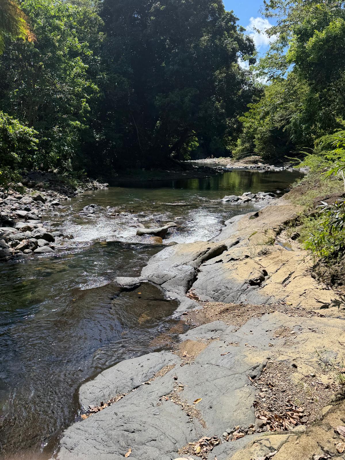 Hacienda Yuké — panoramic view of the Mameyes River