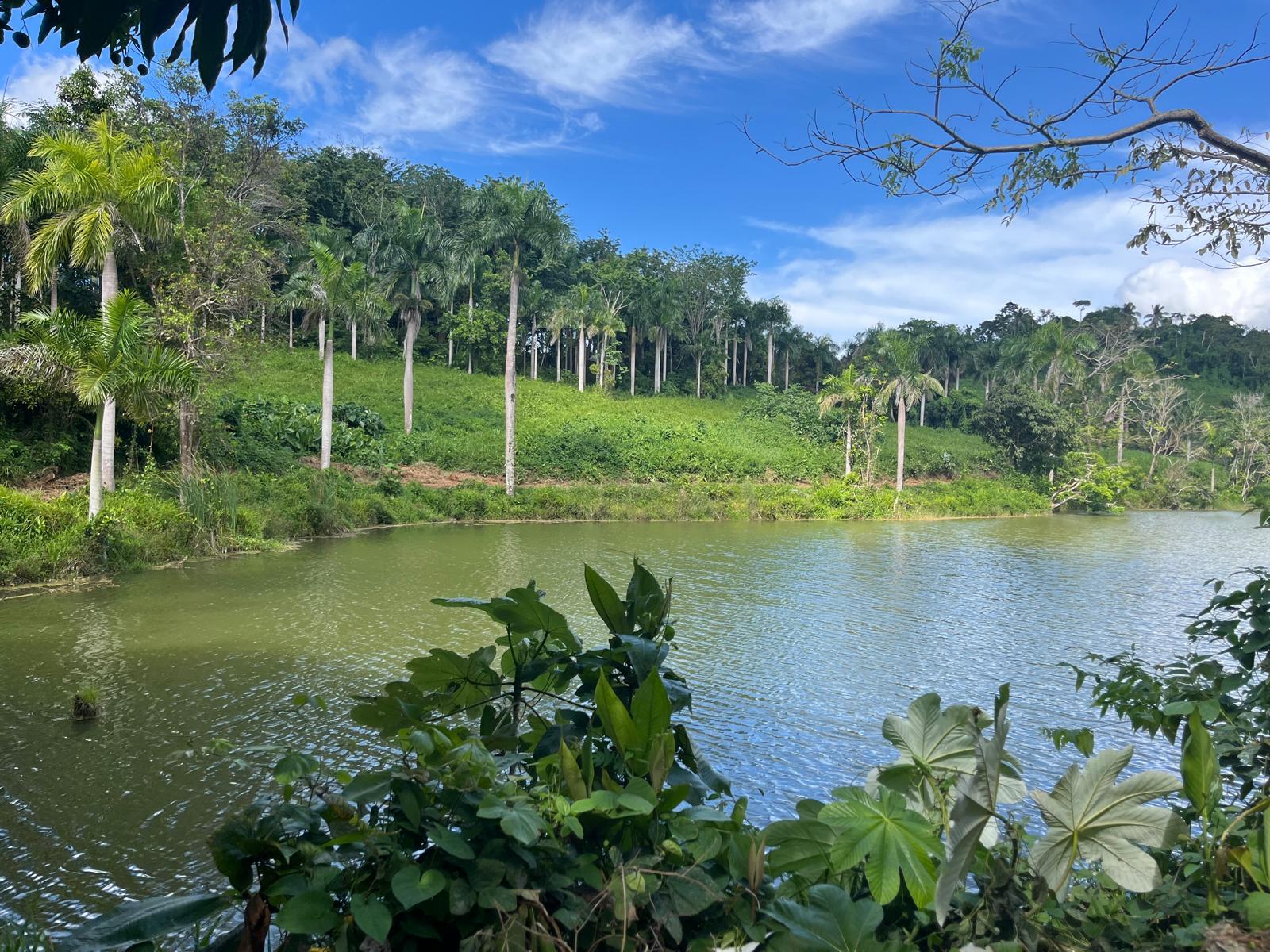 The private lake at Hacienda Yuké